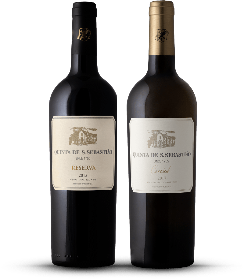 Vinhos Quinta de São Sebastião