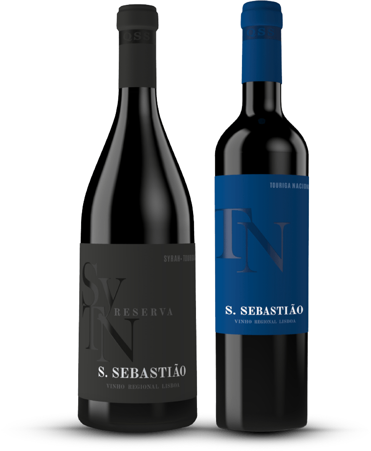 Vinhos Quinta de São Sebastião