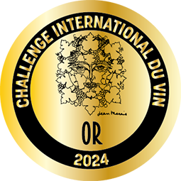 MEDAILLE-CHALLENGE-OR-METAL-2024